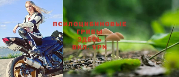 a pvp Бородино