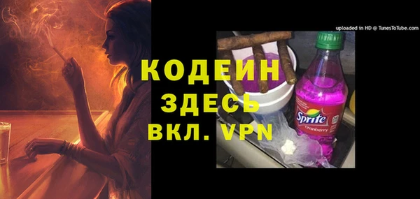 a pvp Бородино