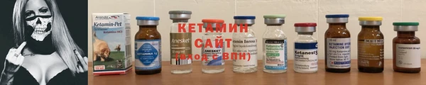 a pvp Бородино