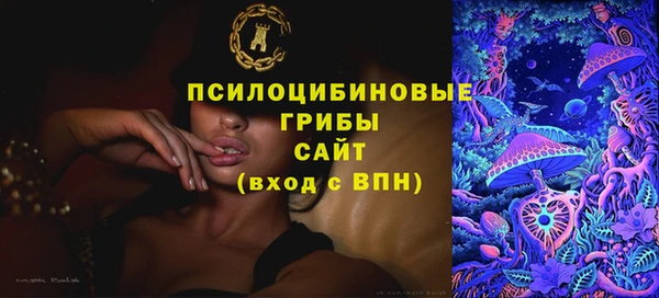 a pvp Бородино