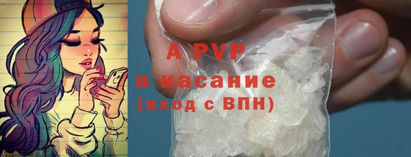 a pvp Бородино